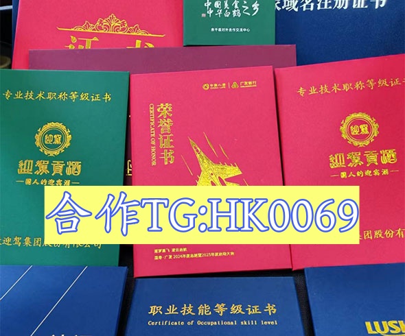 全市制证